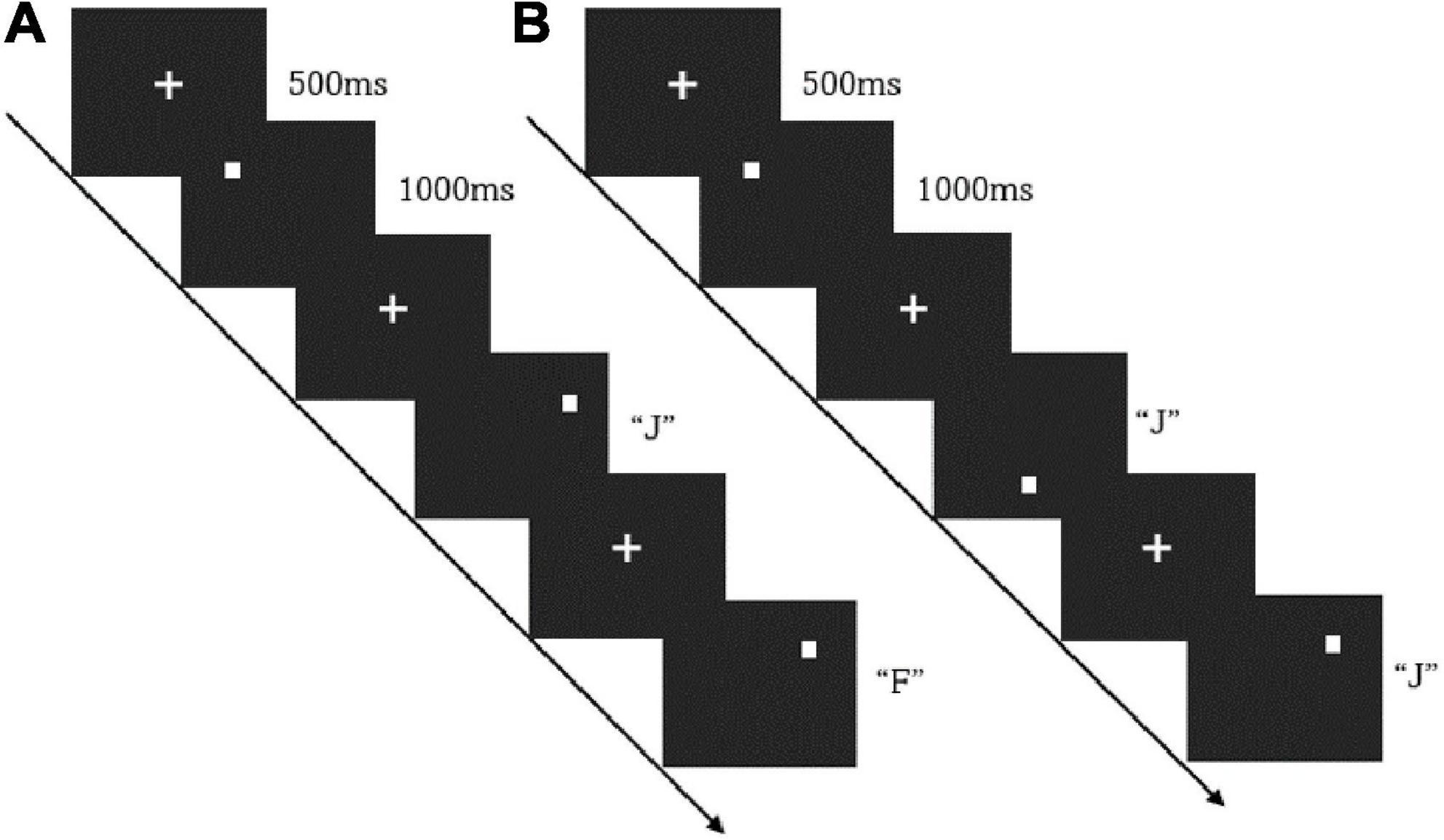 High vagally mediated resting-state heart rate variability is associated with superior working memory function